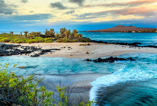 islas_img