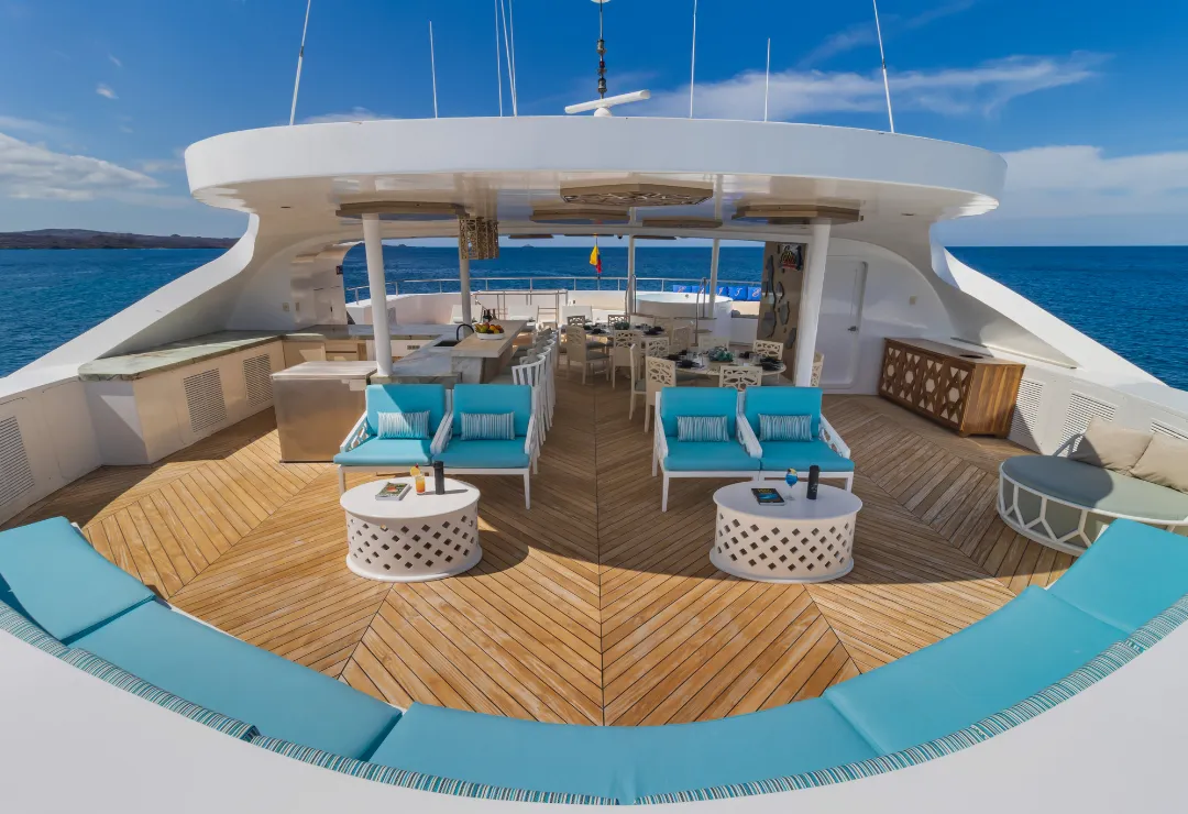 sundeck elite cruise